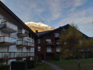 Studio 4 couchages "l'Appel de la Montagne" - Les Contamines-Montjoie - 2