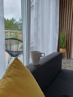 Apartman Zlatni breg Divčibare - Divčibare - 9