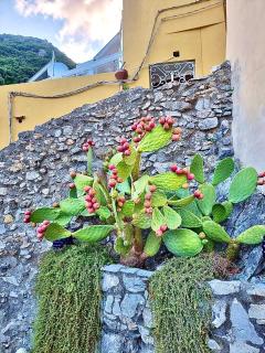 Marilù vacation home in Positano - Positano - 9