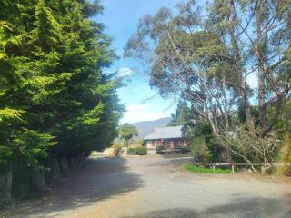 Mt Elephant Forrest Cabin - - 9