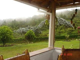 Finca Campestre en Guarne - Guarne - 5