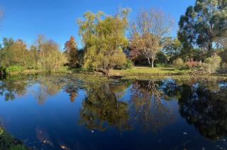 Holly Lane Mews - Yarra Glen - 7
