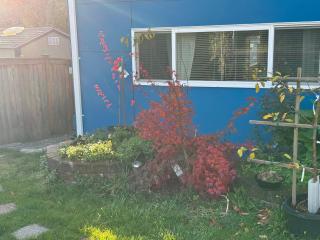 Studio in West Seattle - 7