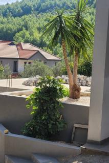 Seaside holiday house Prigradica, Korcula - 21988 - 6