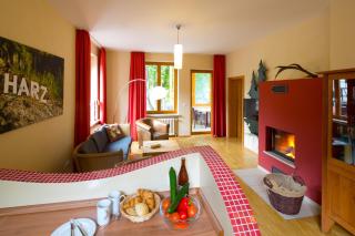 Plumbohms ECHT-HARZ-HOTEL - Bad Harzburg - 1