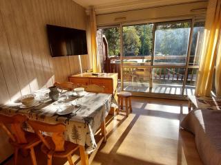 Studio cosy aux Deux Alpes - 4 pers, 32m², pied des pistes, balcon sud - FR-1-516-209 - Les Deux Alpes - 2