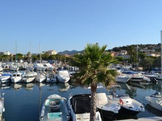 Appartement avec piscine et terrasse ensoleillée, acceptant les animaux - FR-1-768-18 - Sainte-Maxime - 2