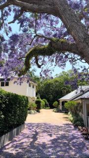 Bangalow Guesthouse - Bangalow - 0