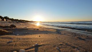 Villa "Agnes", App 13 - nur 20m zum Strand, TOPLAGE! - Binz - 7