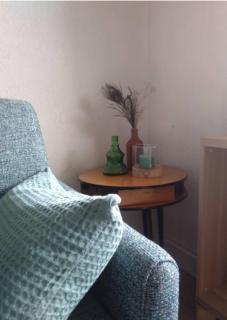 Myrtille - Bellevaux - 5