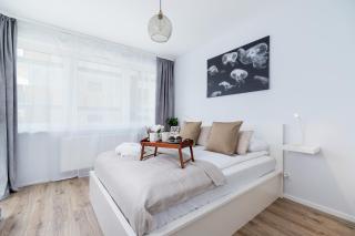 Cracow Apartment Bronowicka with Parking by Noclegi Renters - Krakow - 0