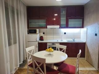 Apartman Savić Zlatibor - Zlatibor - 1