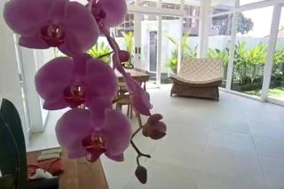 Villa Yume - Canggu - 1