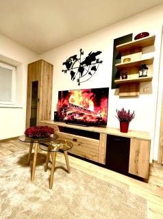 APARTMÁN ZLATÝ DUB - 8