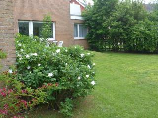 Ferienwohnung-Strandblume-Borkum - Borkum - 9