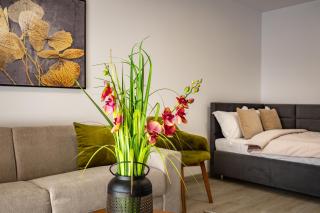 Urban Plaza Alpine Escape Studio with Free Parking, Balcony, Washer & Dryer - Brasov - 9