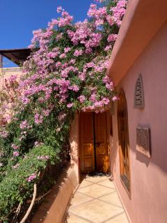 Riad Chameleon - Marrakesh - 6