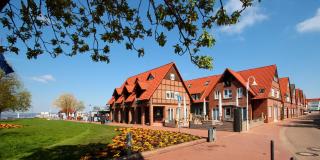 Lüerßen direkt am Steinhuder Meer - 0