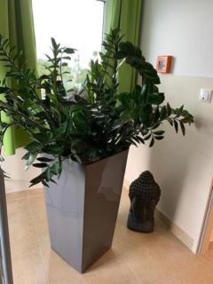 A3 Hotel - Oberhonnefeld-Gierend - 7