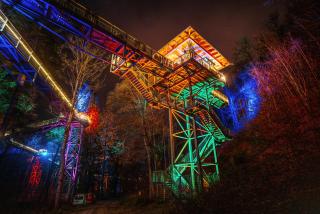 FeWo Bergahorn mit Wintergarten #Fernblick#Netflix und vieles mehr von Harztraveler - Bad Harzburg - 9