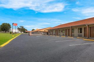 Econo Lodge - Cornersville - 4