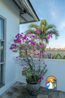 Villa Eva - by Unicorn Villas Bali - Uluwatu - 7