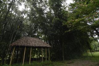 Sawasstika Eco Park Resort - 7