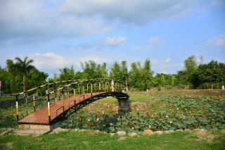 Sawasstika Eco Park Resort - 6