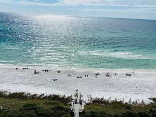 Beachcrest 1102 - Santa Rosa Beach - 6
