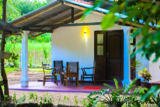 Sigiriya Free View Tree House & Villa - Sigiriya - 6