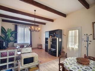 Charmant F2 avec terrasse près du centre et des thermes, animaux acceptés, options de services disponibles - FR-1-451-31 - Lamalou-les-Bains - 4