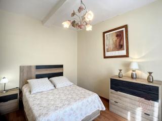 Bel F2 lumineux avec terrasse privée, à 5 min des Thermes et cœur de ville, animaux acceptés - FR-1-451-37 - Lamalou-les-Bains - 1