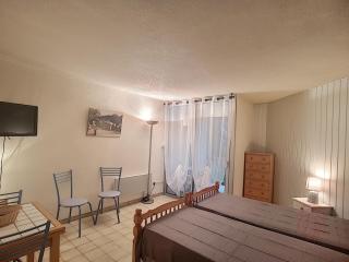 Charmant appartement avec terrasse, parking gratuit et animaux acceptés, proche des thermes à Lamalou - FR-1-451-89 - Lamalou-les-Bains - 9