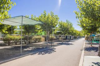 Camping y Bungalows Monmar - Moncófar - 6