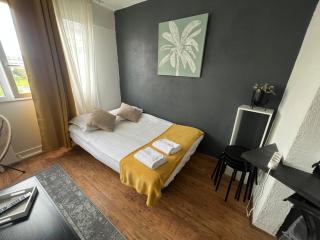 Mon Palmier Grand Appartement Parking Un-Séjour-à-Part - Metz - 5