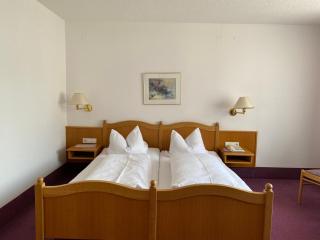 Hotel-Restaurant Zum Loewen - Jestetten - 1