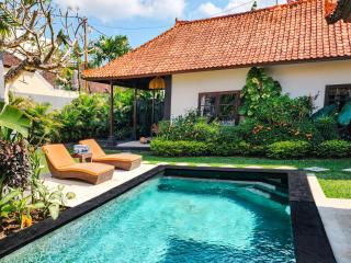 AmaLuna III Villa in Seminyak - Seminyak - 5