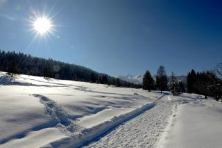 Alpen Apartments Zell am See - Embach - 1
