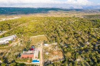 Olive hills house with private pool - Novalja (Novaglia) - 6