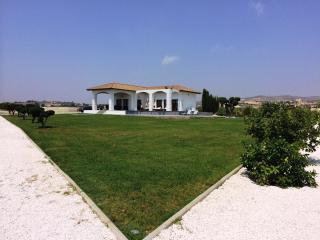 Villa Olivo Maroni - 9