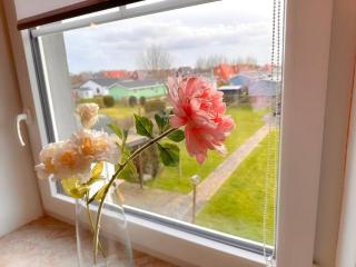 Watt'n Traum II - Wohnung nahe Nordseestrand - Dorum-Neufeld - 7