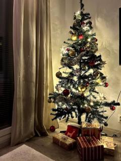 Luxurious Apartment - 5