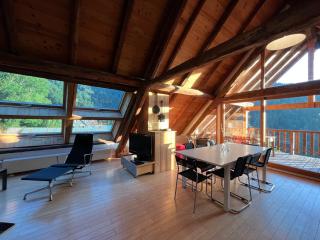 The Loft 3 minutes from Alpe dHuez Grand Domaine via Oz en Oisans - Oz - 9