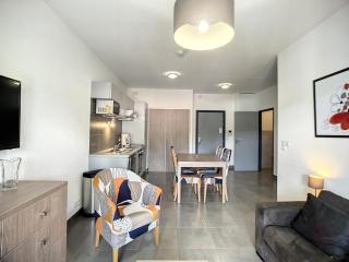 Bel F2 climatisé, terrasse, parking, à 50m des Thermes de Lamalou-les-Bains, animaux acceptés - FR-1-451-193 - 1