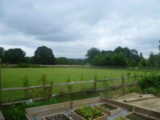 The Music Room - Kingsize Double Oak Studio - Sleeps 2 - Quirky - Rural - Haslemere - 9