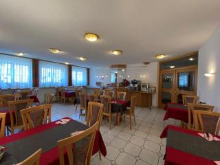 Hotel-Restaurant Zum Loewen - Jestetten - 8