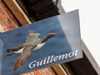 Guillemot - Bridlington - 8
