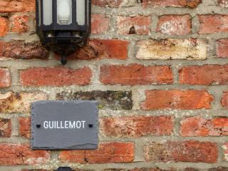 Guillemot - Bridlington - 9