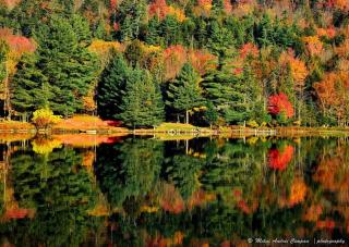 Camp Bear Path -  - 3