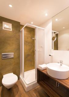 Hotel Dachstein - Filzmoos - 5